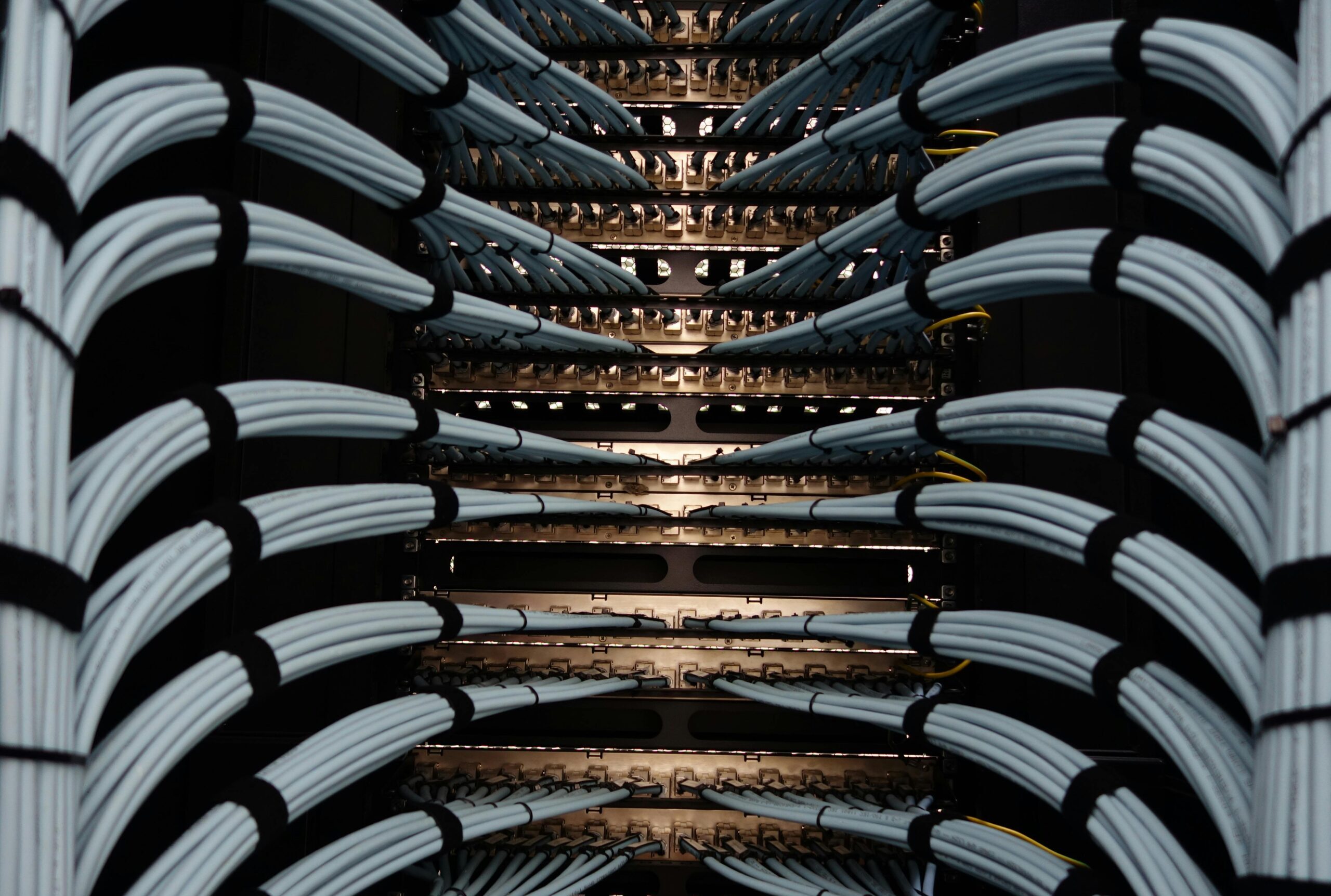 Organized network server cables for efficient data management.